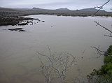 Galapagos 4-1-03 Floreana Punta Cormorant Flamingoes In Lagoon After landing we followed a short trail to a lagoon, home to one of the biggest populations of flamingos in the archipelago. The gray streaks in the lagoon are where the flamingoes have walked along the muddy bottom.